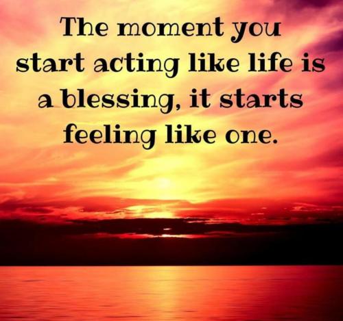 efb8c828-7ab6-4f92-9449-5abea3853e35