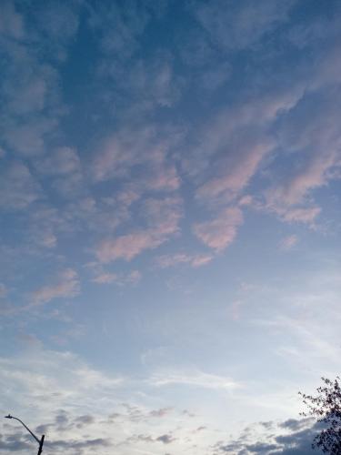 b0844ef3-b340-40b9-86bb-732977780200