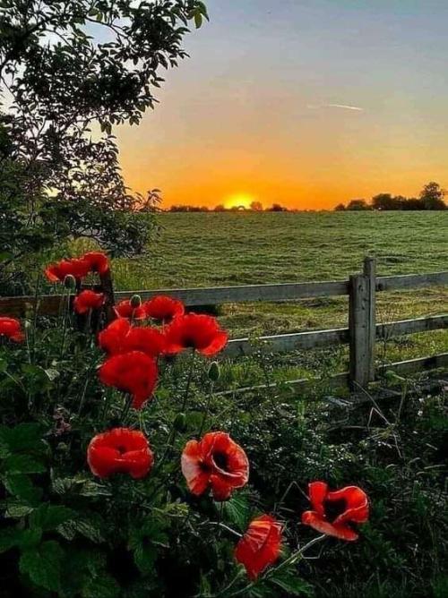 27dc5b06-4200-4635-97dc-8be3980fe345