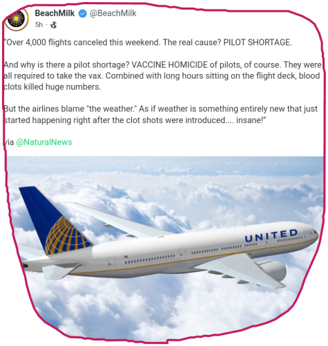 snapshot_gab.com_1653887735786