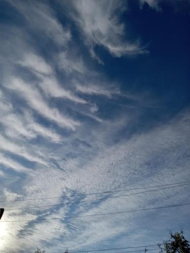 a33a89b3-a175-4390-8bcb-a54e984a537b