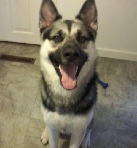 3811e604-7981-46d2-a0c3-cff844d88a67