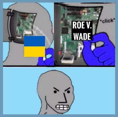 Roe Vs MEMES (8)