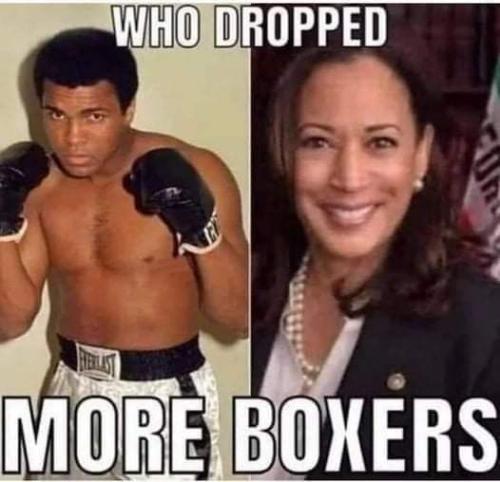 92e07ae8-3f66-4e42-beb1-e8c197d10eb3