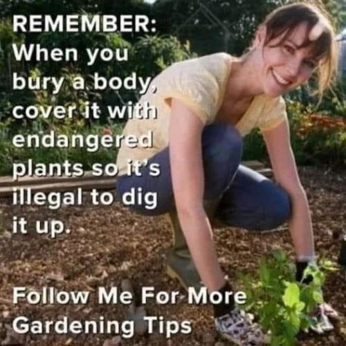 284254432_5316021288443893_3579622266823132581_n