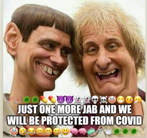 Screenshot_20220522-104453_Instagram