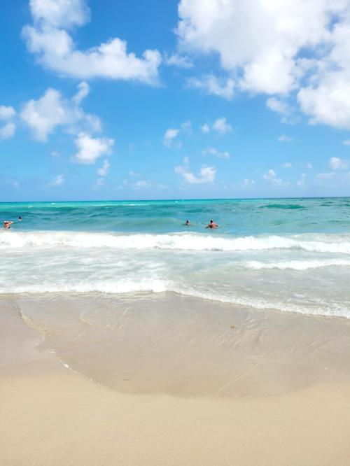 55f7cf4d-c39b-4e72-a7ef-9c204ba74d1c