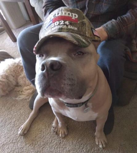 received_4452888771503632