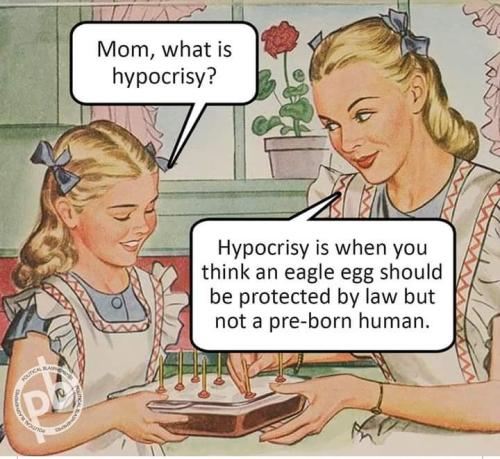 19d80255-1a33-4d7d-851f-69bf6b732e25