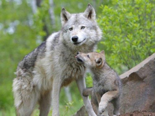 tumblr_1c28cd657258f831fc247d2aa9bc4a5f_bff579b3_1280