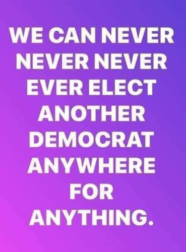 Dems Elect 1