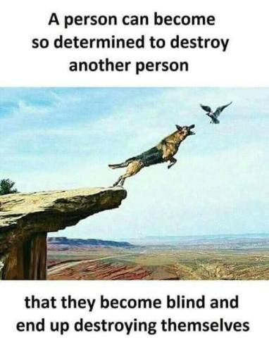 d12076a0-7393-477d-a0a5-04e1a8f15a55