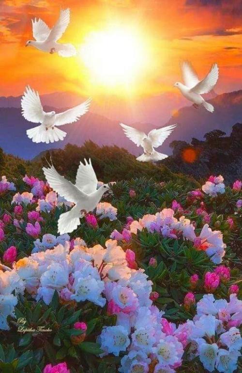 FB_IMG_1652367271441