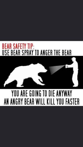 bc2f0ec3-2f12-4375-a710-c68f6ef93ea0