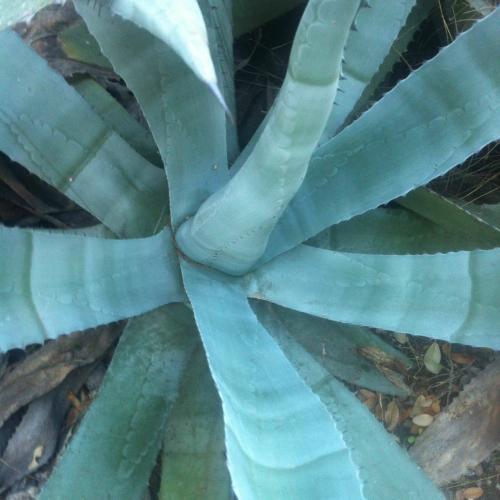 46023a79-6388-449e-b45b-55412607f428