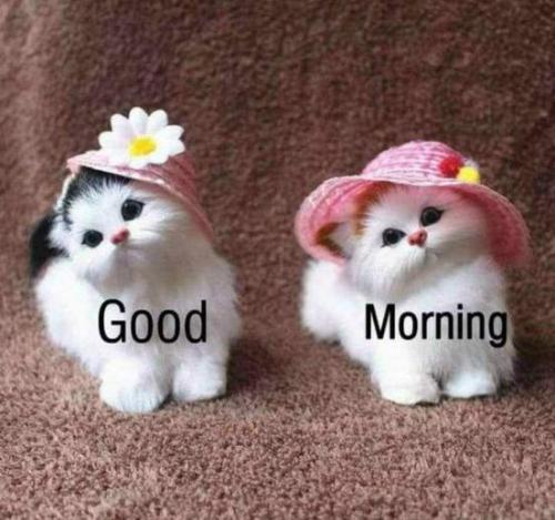 280745568_4950691781706500_4747151080338636108_n