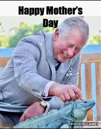 photo_2022-05-08_20-53-42