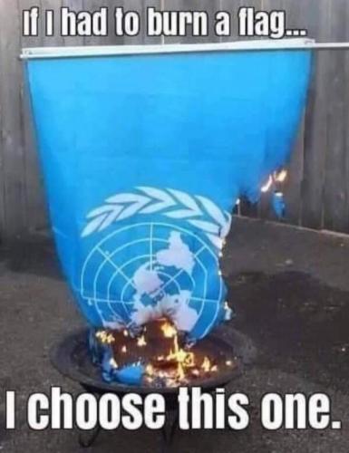 tumblr_a3ba7298d772fcd57f94808f6a51fa7b_d49d0413_640