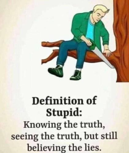 2da8afb0-47c5-4b5d-989e-b12af5048fa5