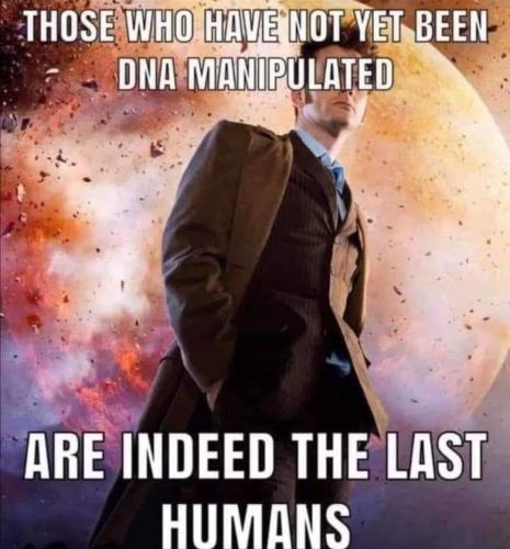 be387575-150c-42a4-8009-038e8215f9db