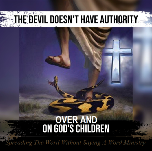 280478073_3322397881323671_1460758455668275029_n