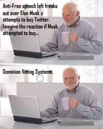 twit dominion musk