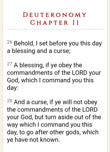 Screenshot_20220522-075201-282