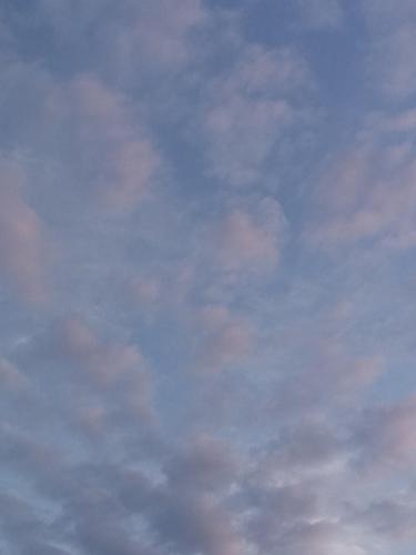 34232d77-8211-4c54-acba-8f2af1fc1eb1