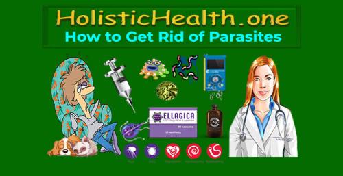 ! HolisticHealth.one - How to Get Rid of Parasites