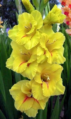 21:19:46 GMT-0500 (CDT)