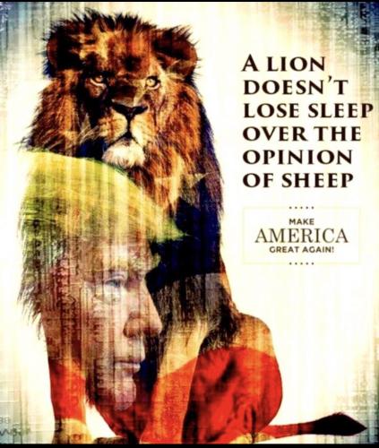 574adc16-ef5b-4e1c-9aca-115ee0f7527f