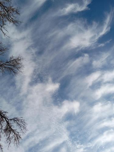 96366f6d-411f-4f5f-9083-10fa5b1b2eaf