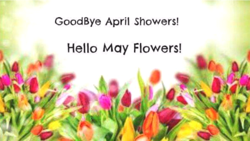 Screenshot_2022-05-01-12-14-29_kindlephoto-657975091