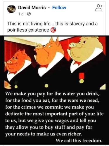 a8210286-2ef7-45c6-907d-9ed9839a58ef