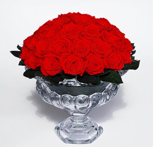 93DCF071-3CFC-495F-AC9A-9F255B79D3B6