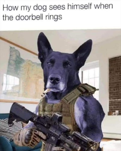 Screenshot_2022-05-12-12-49-03_kindlephoto-169300340