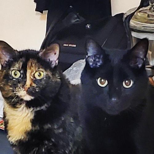 396aba56-085f-4ced-b82e-4e7538c42474