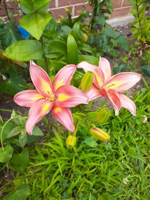 9ef2eef2-9458-4529-accd-c31a54227ef3