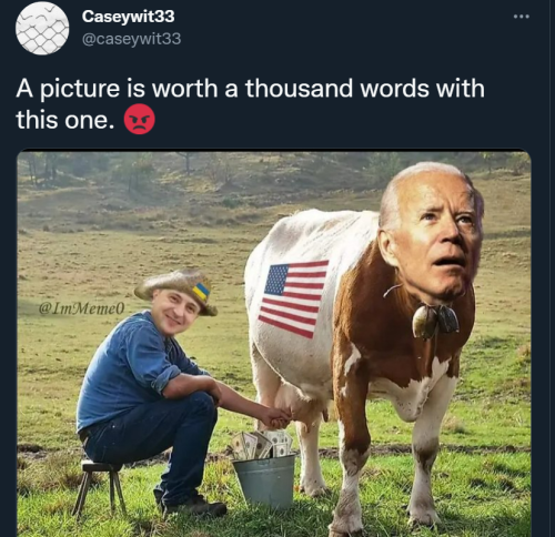 Biden Zelensky 1t
