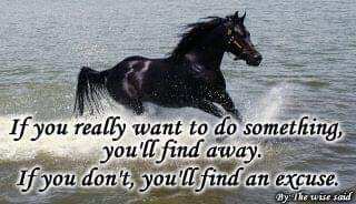 d4019f80-cbc2-4d21-8150-5e94c569e060