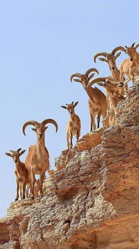 tumblr_e2fbf386e12bcf78d0551e31a94906ec_d16a4b90_640