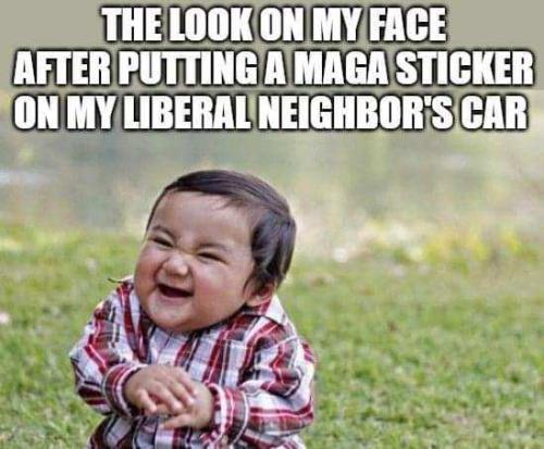 d510945a-8063-41c8-8966-686069892f6f