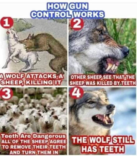 285305226_126205410080524_4948234790502336850_n