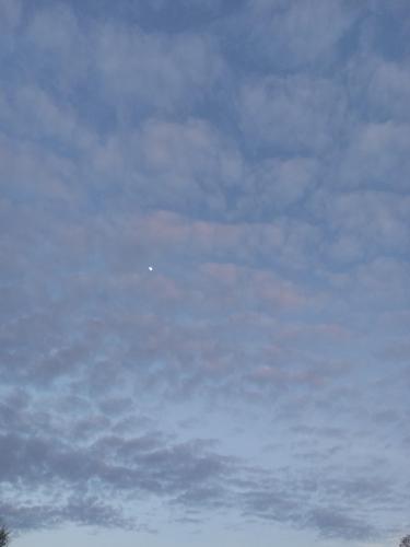 c373addb-87ad-4a79-a84c-95d813ffaac6