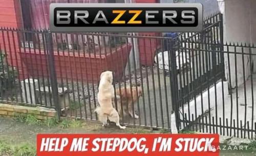 509DF20F-A957-484D-B6BA-D245AEFAFCC2