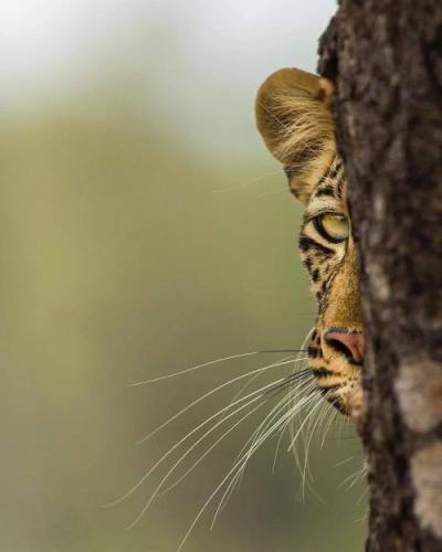 tumblr_eb4942a61be066bfcd2f8bbca721457a_2ea32170_500