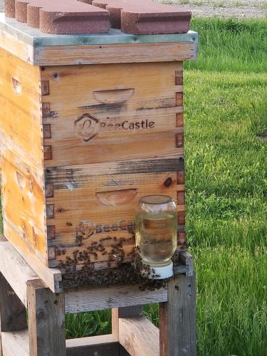 1ef0d869-7436-4498-a9c2-e6558912f232