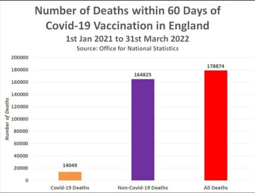927de0d6-a8dd-4ab4-8e03-bed9f753fdb3