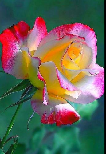 20:34:19 GMT-0500 (CDT)