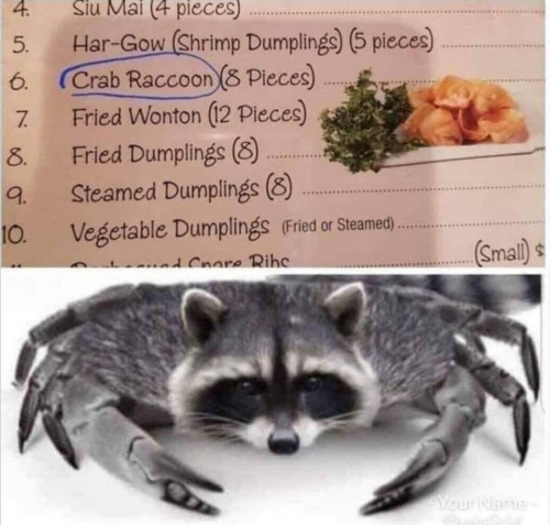 16534119763051355217938355920707_137092619579524